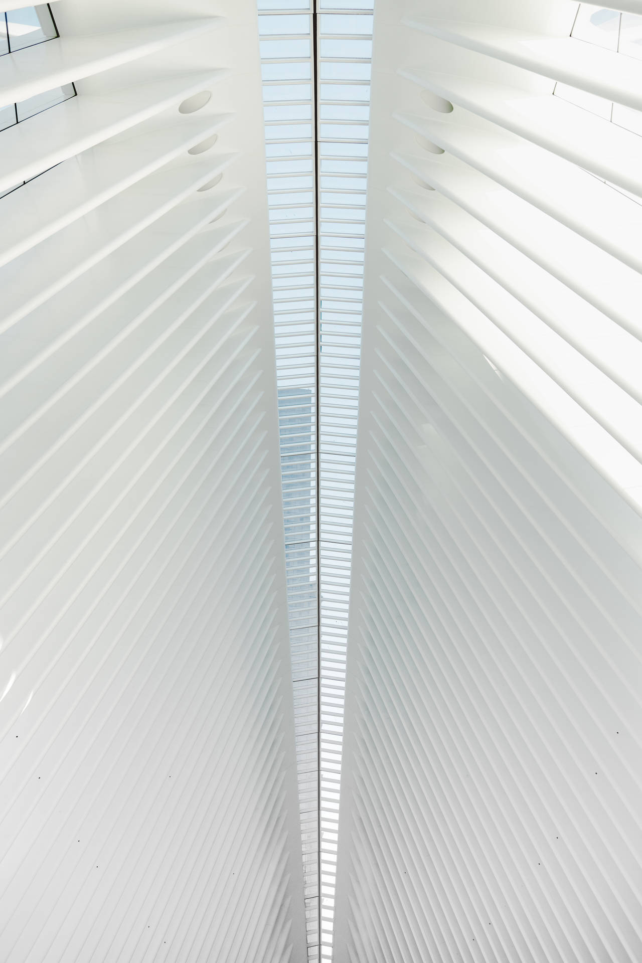 Plain White Wallpaper
