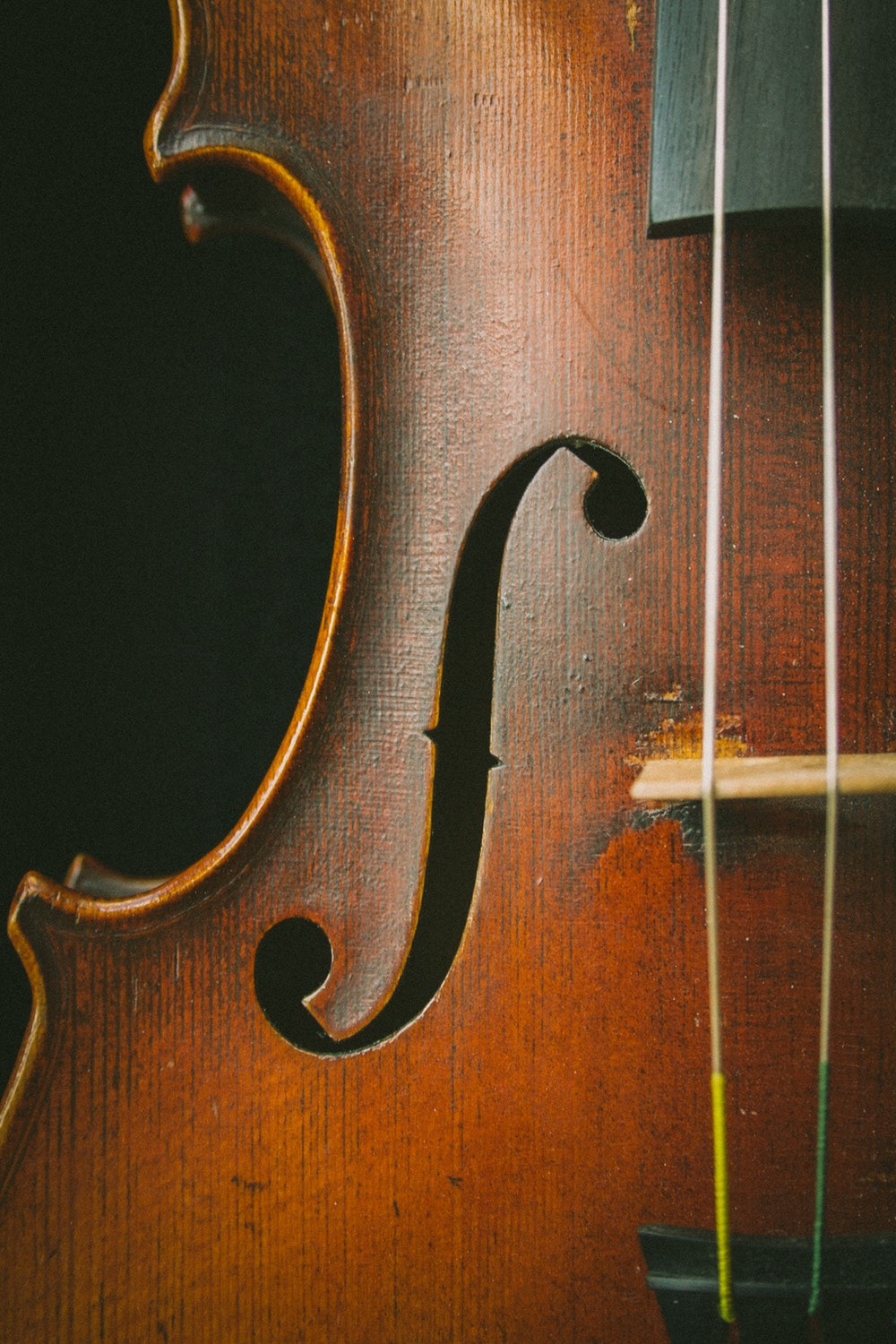 Fiddle Wallpaper Best Fun For All