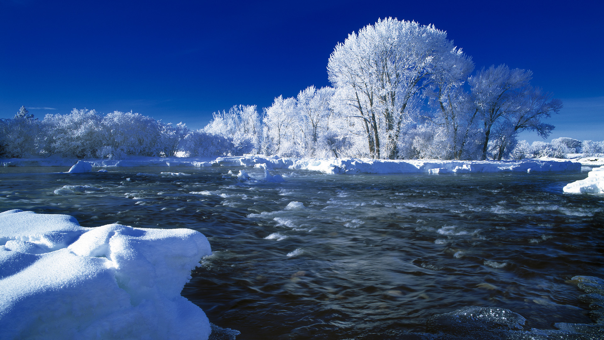 Winter In Idaho By Leland Howard Of Fine Art