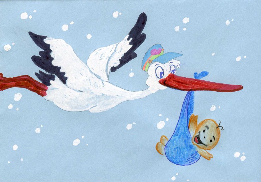 Advertisment White Stork By Nanakoharrison