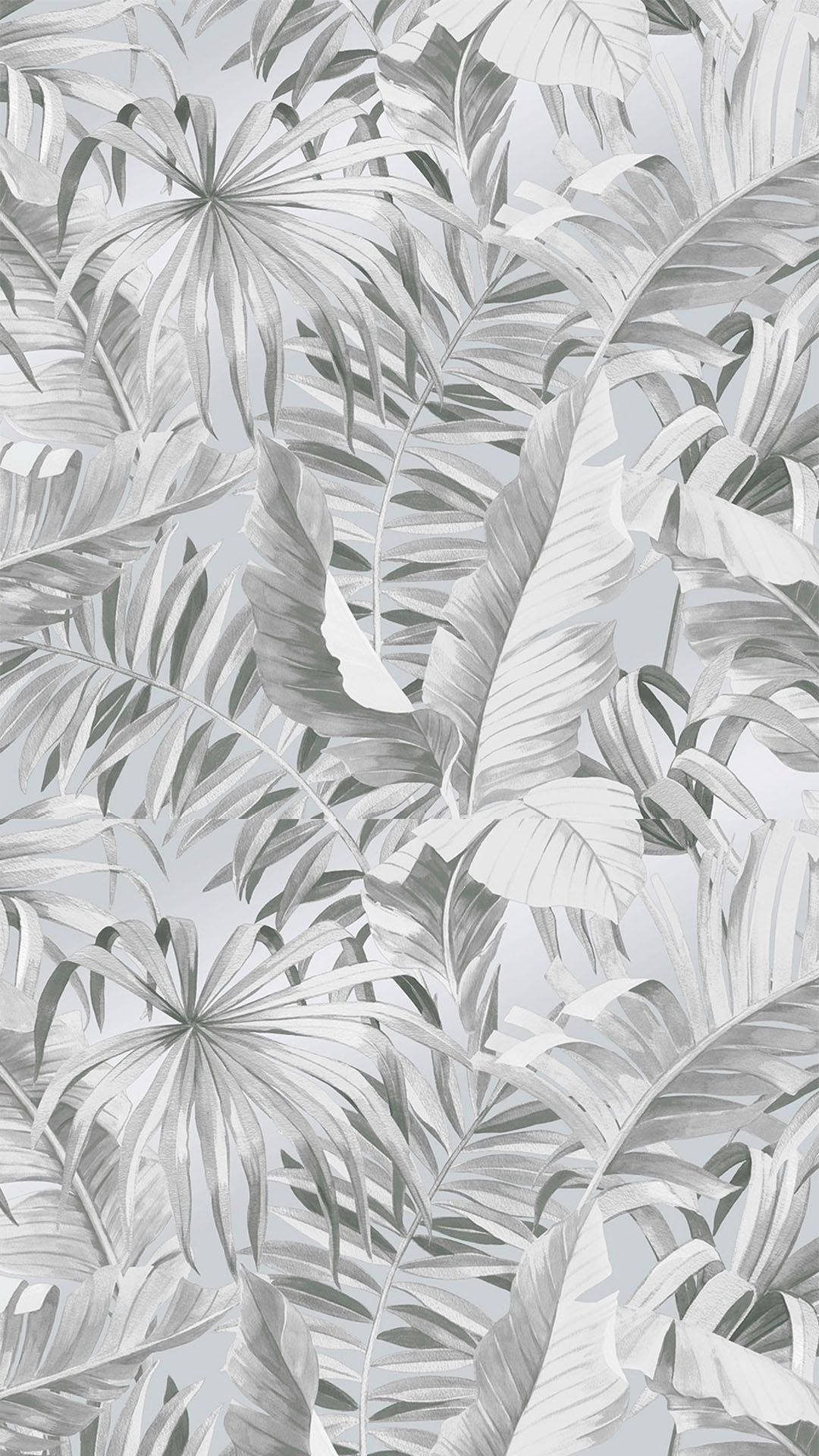 Aesthetic Gray Wallpaper