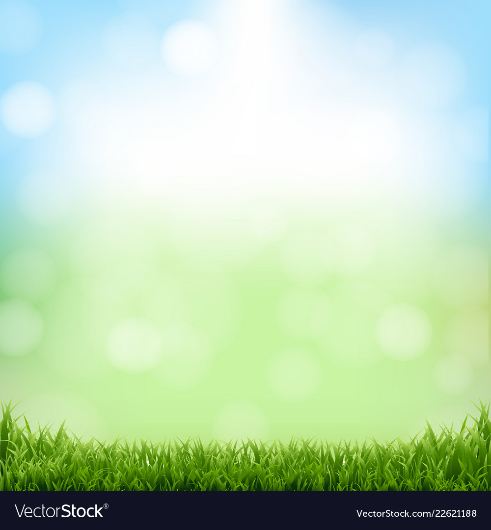 Nature Green Background With Bokeh And Grass Vector Image