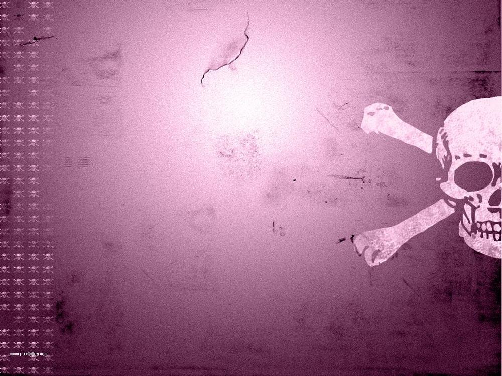 It S HD Animals Funny Wallpaper Pink Skull