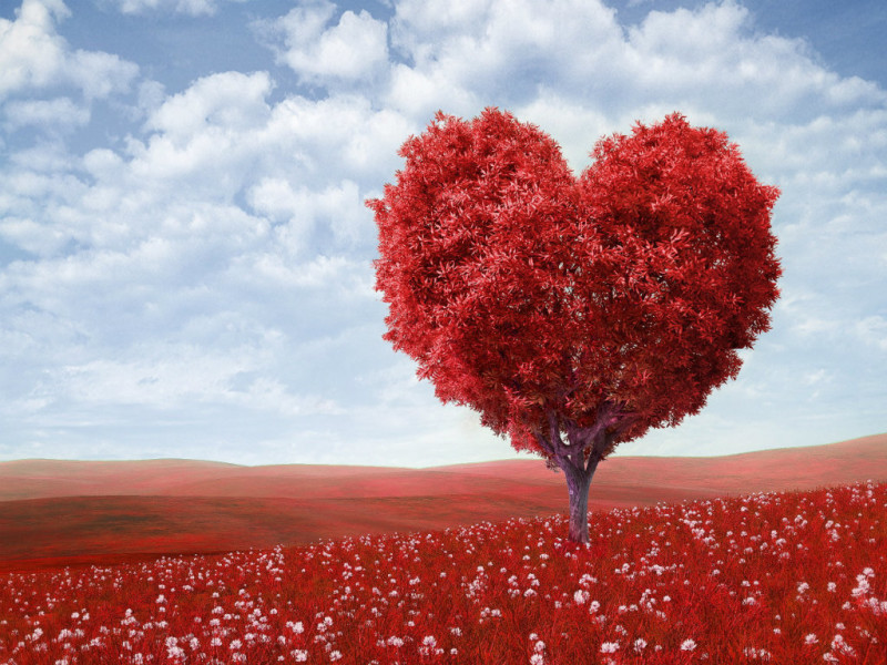 3d Love Heart Most HD Wallpaper Pictures Desktop Background Image