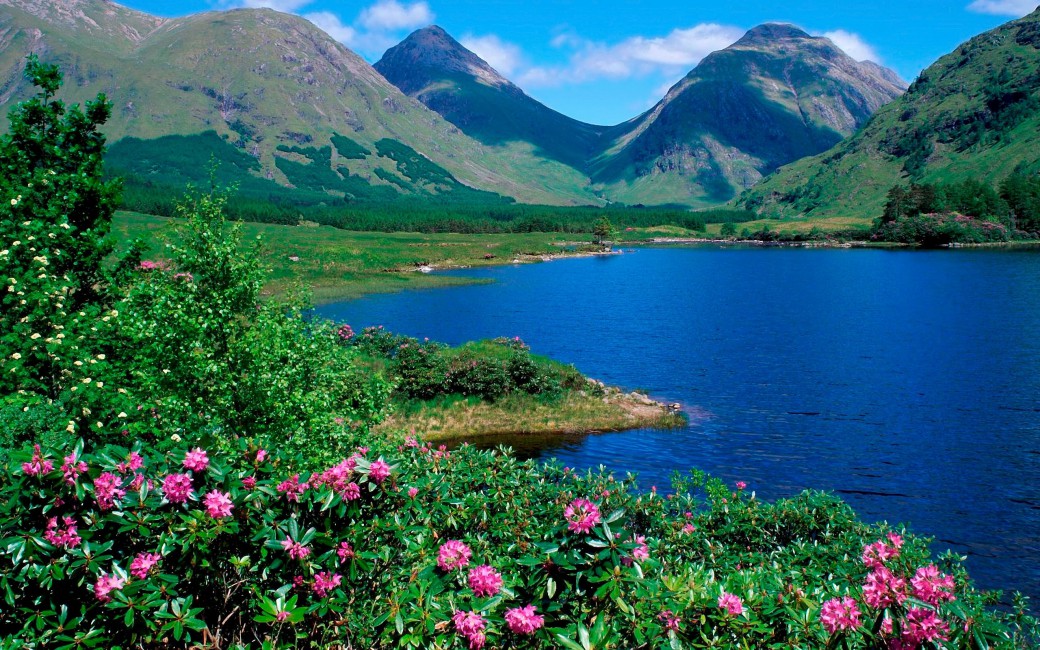 Mountains Lake Flowers Slopes Greens Grass Summer Stock