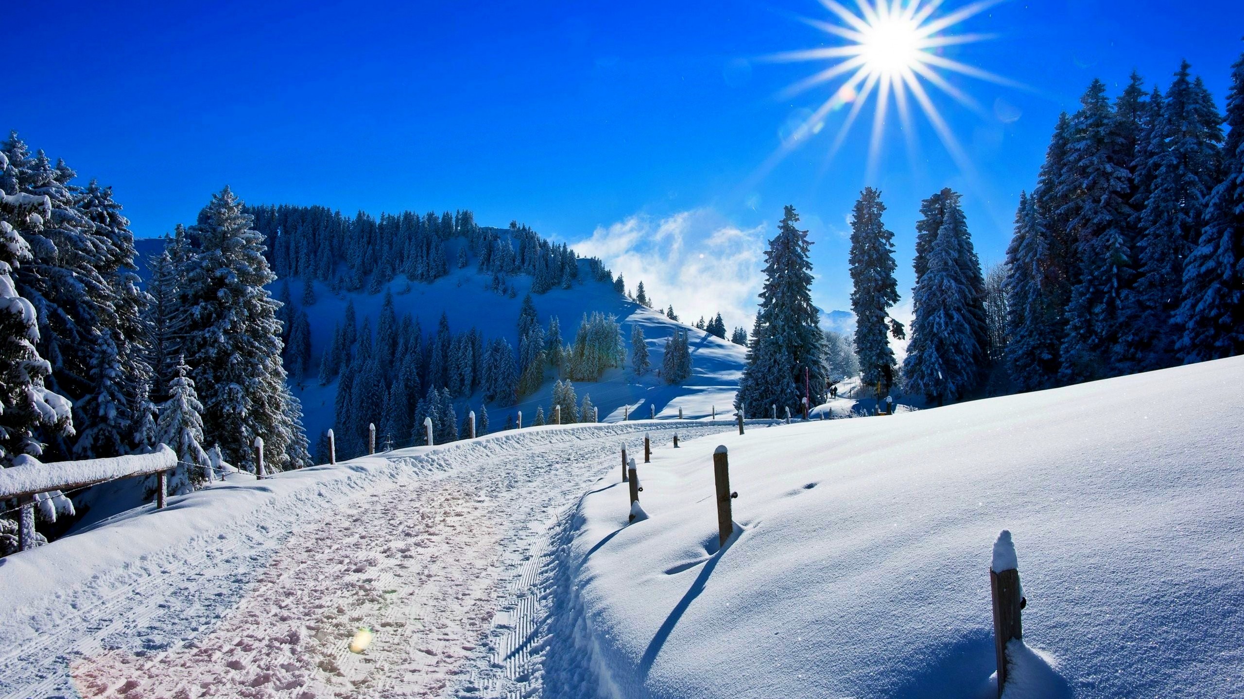 Sunny winter day on the mountain   HD wallpaper
