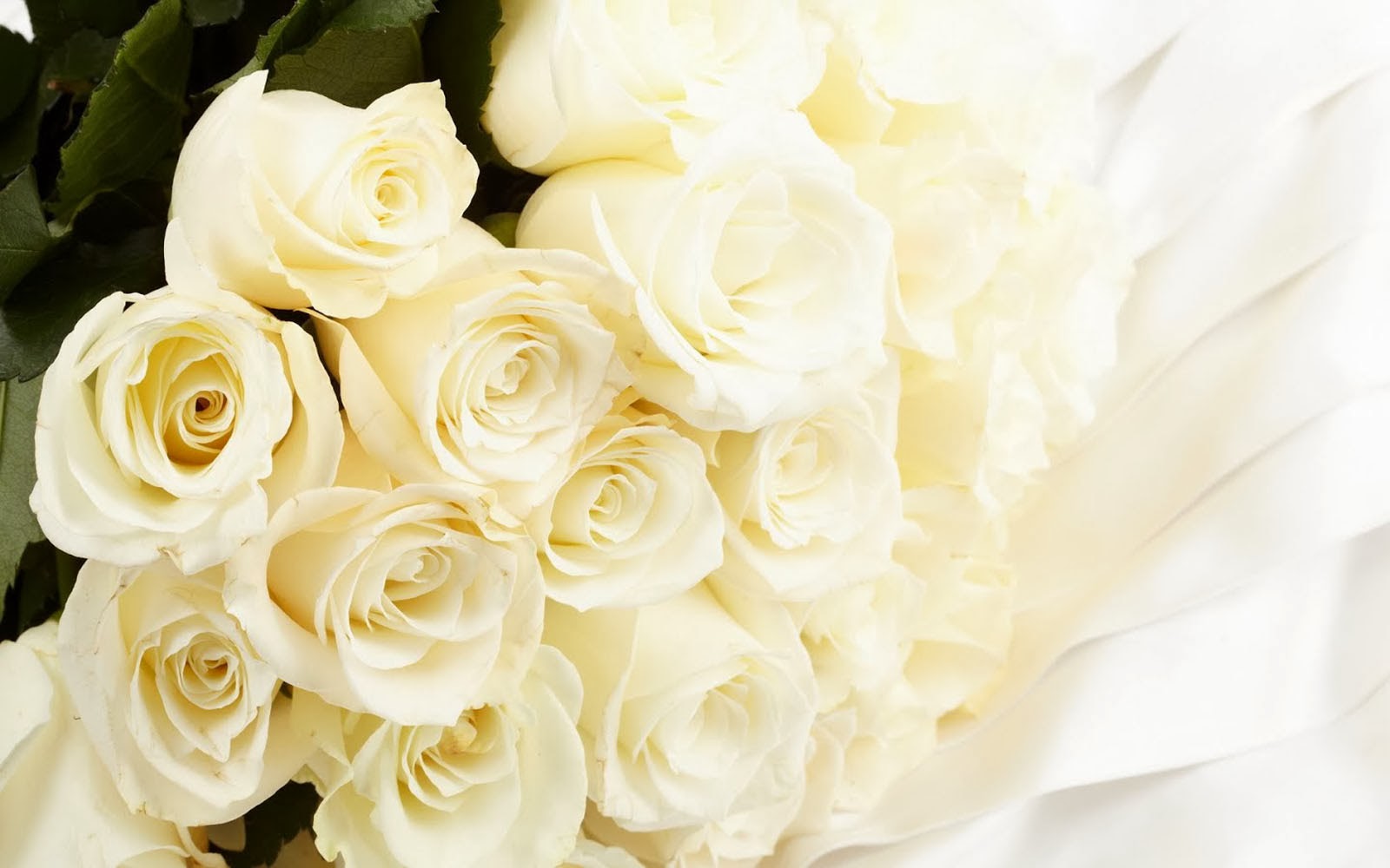 White Rose Bouquet Wallpaper