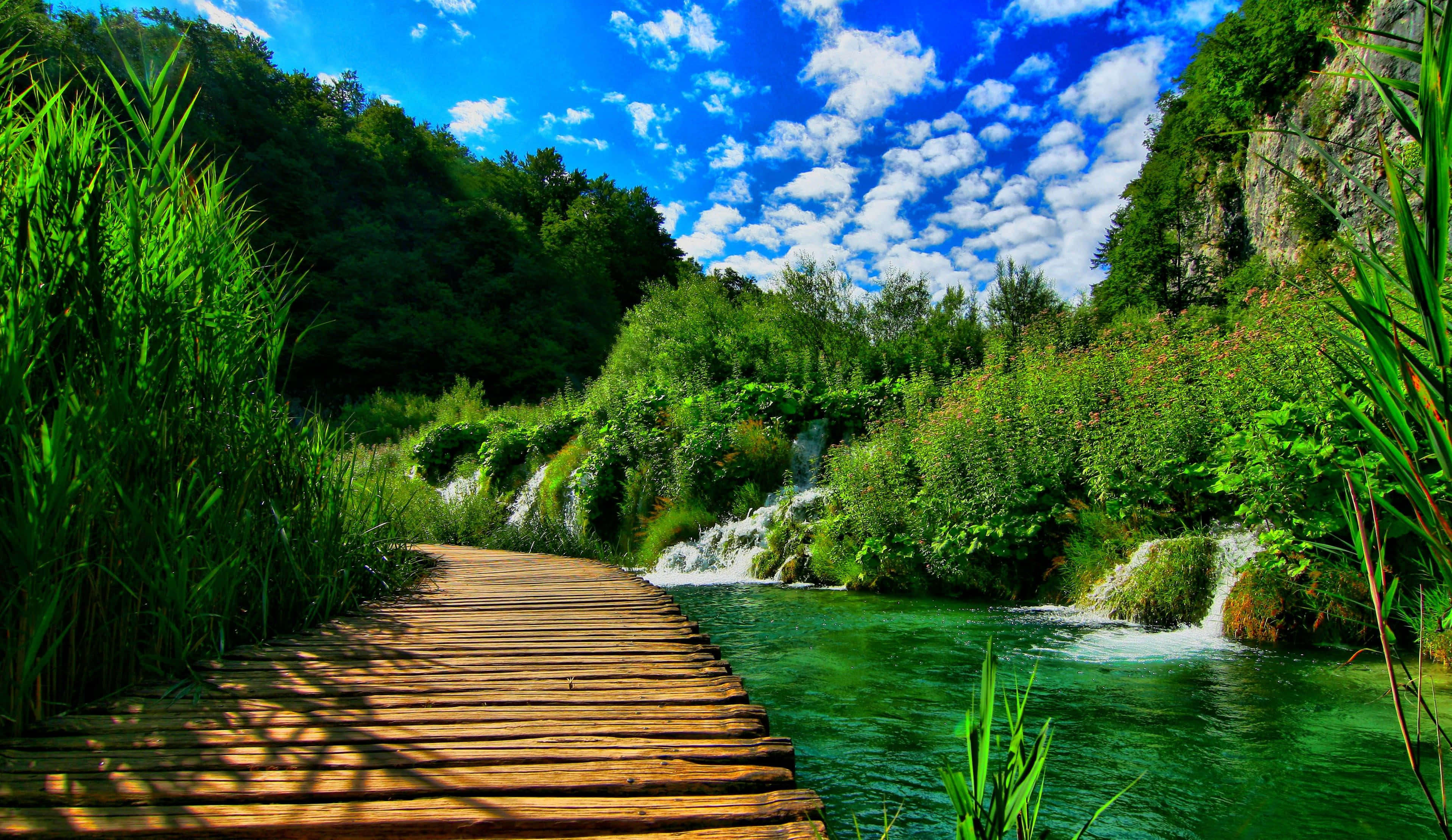 4k River Wallpaper