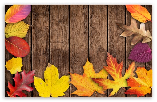 Autumn Foliage HD Wallpaper For Standard Fullscreen Uxga Xga