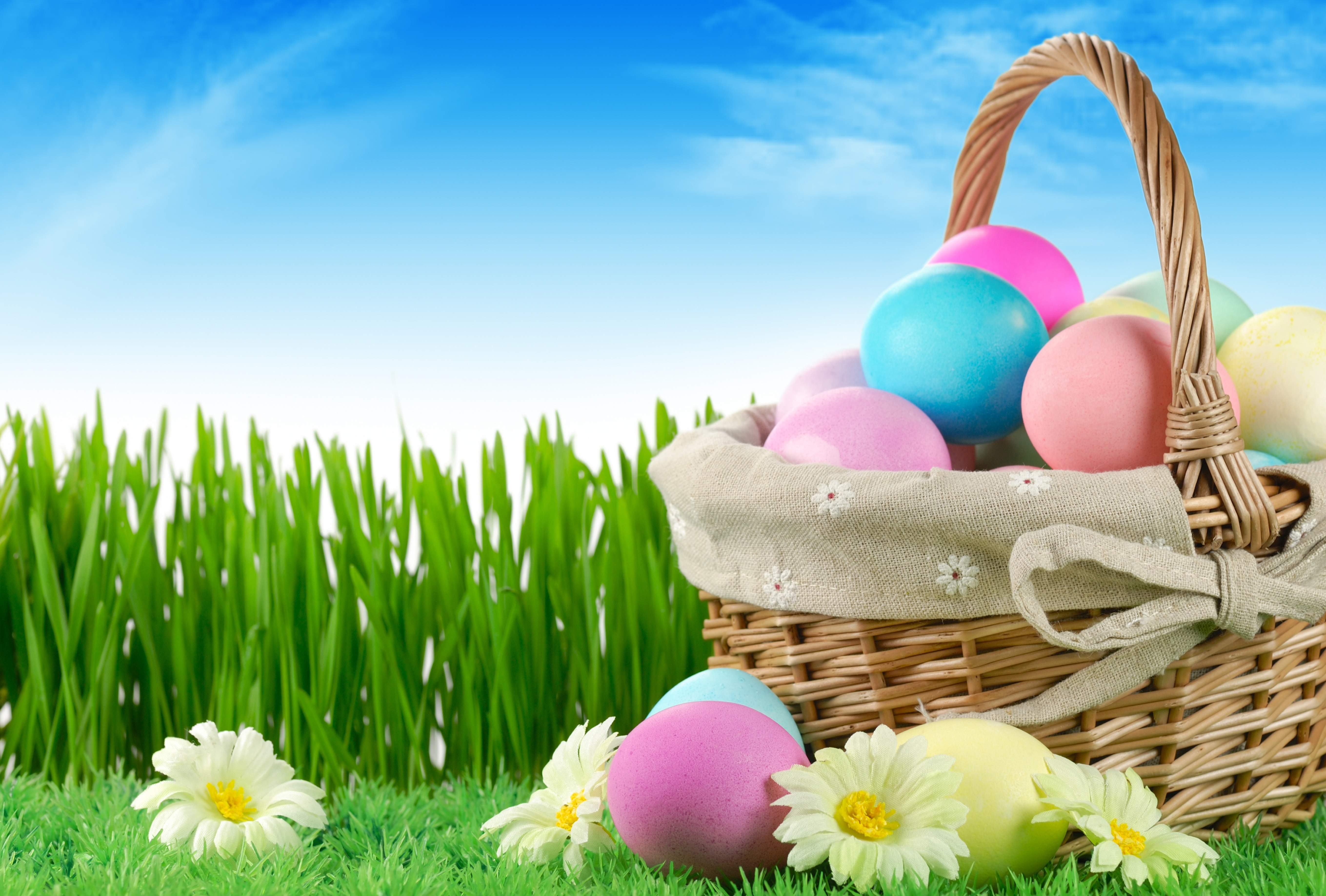 Holiday Easter Eggs Flowers Grass Nature Sky Wallpaper