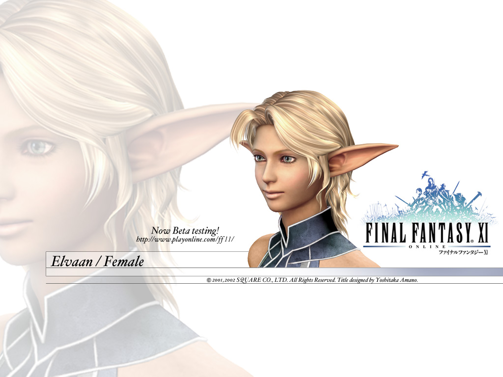 Final Fantasy XI, Final Fantasy Wiki