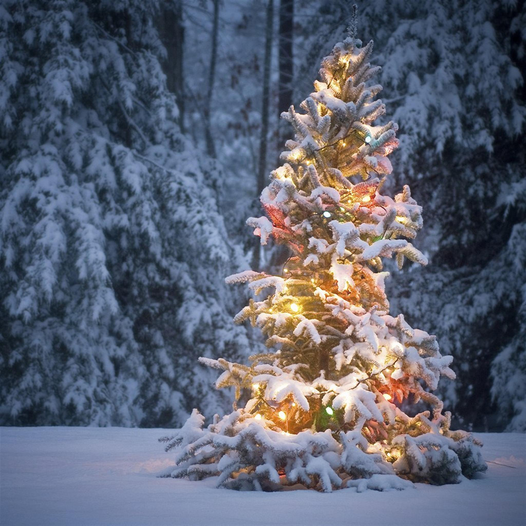 Neon Light On Snowy Christmas Tree iPad Wallpaper