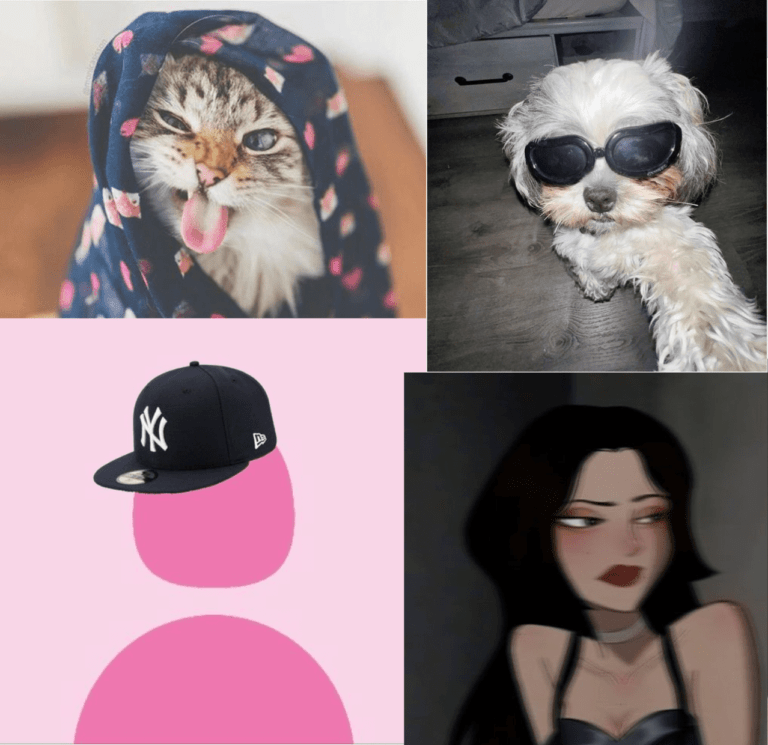 Hilarious Pfp Ideas For Tiktok Instagram And Discord Wallpaper