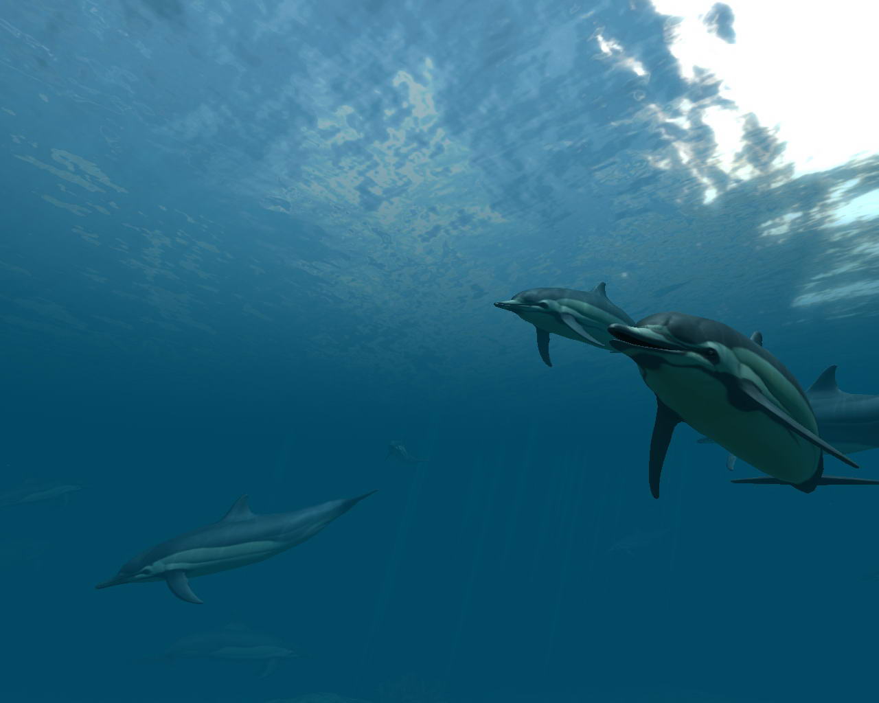 3d Dolphins Animated Wallpaper High Definition