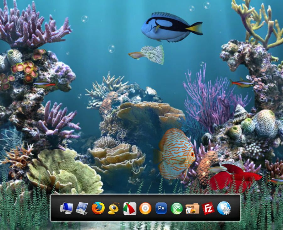 Aquarium Animated Wallpaper 901x733