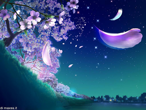 Night Fantasy Butterfly Background Wallpaper