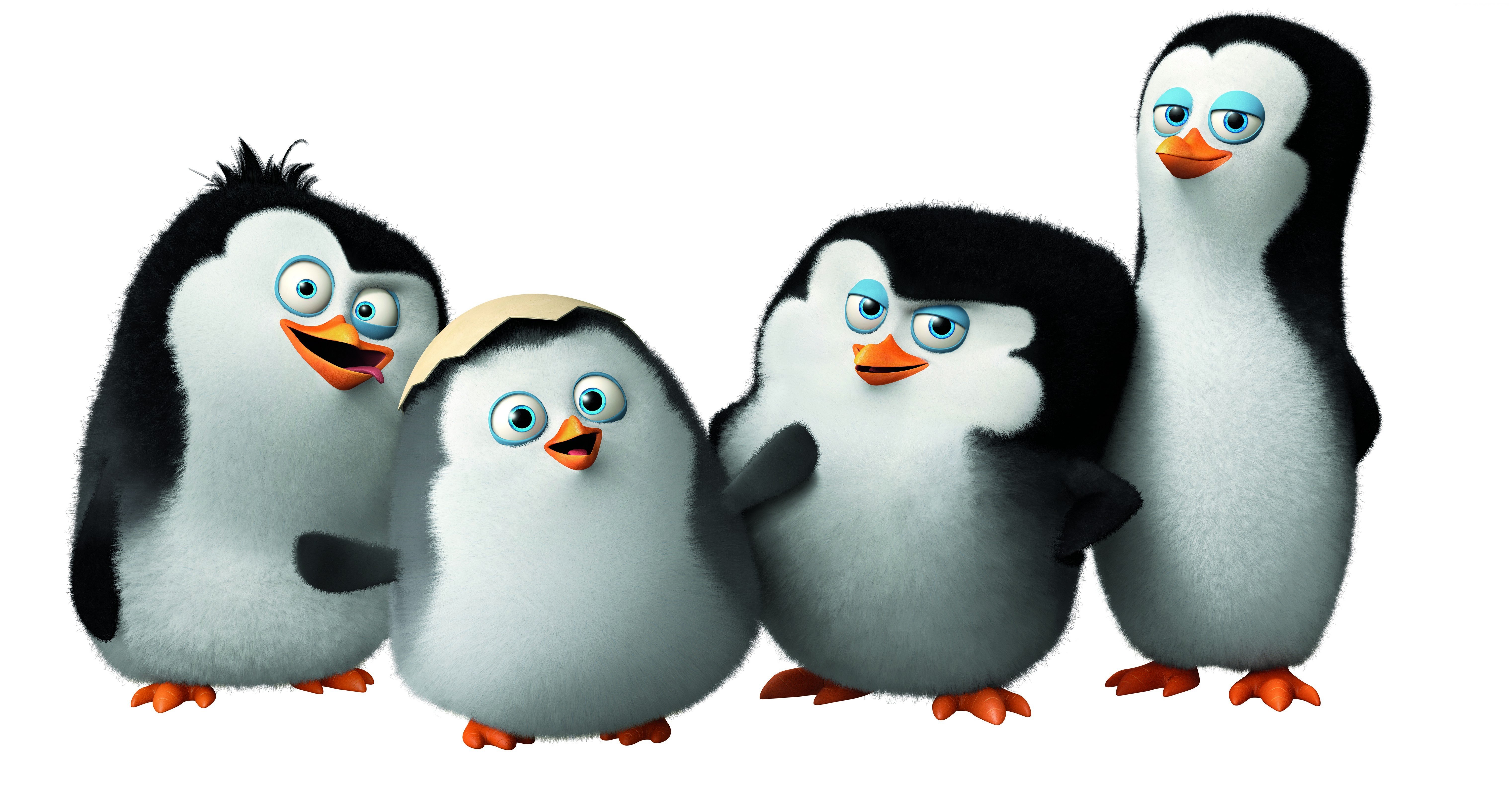Penguins of Madagascar Wallpaper Movies Penguins of Madagascar cute