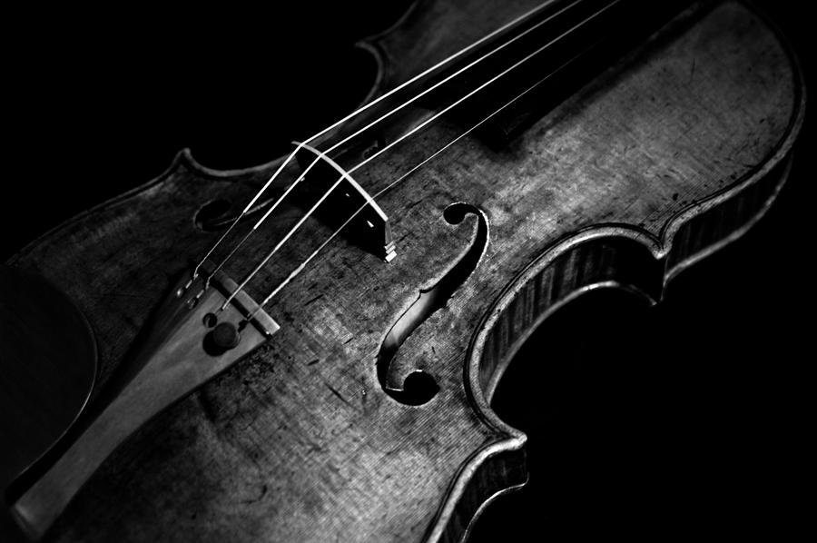 Violin Music Instrument Closeup Violin Isolated Stock Photo 579365632   Shutterstock