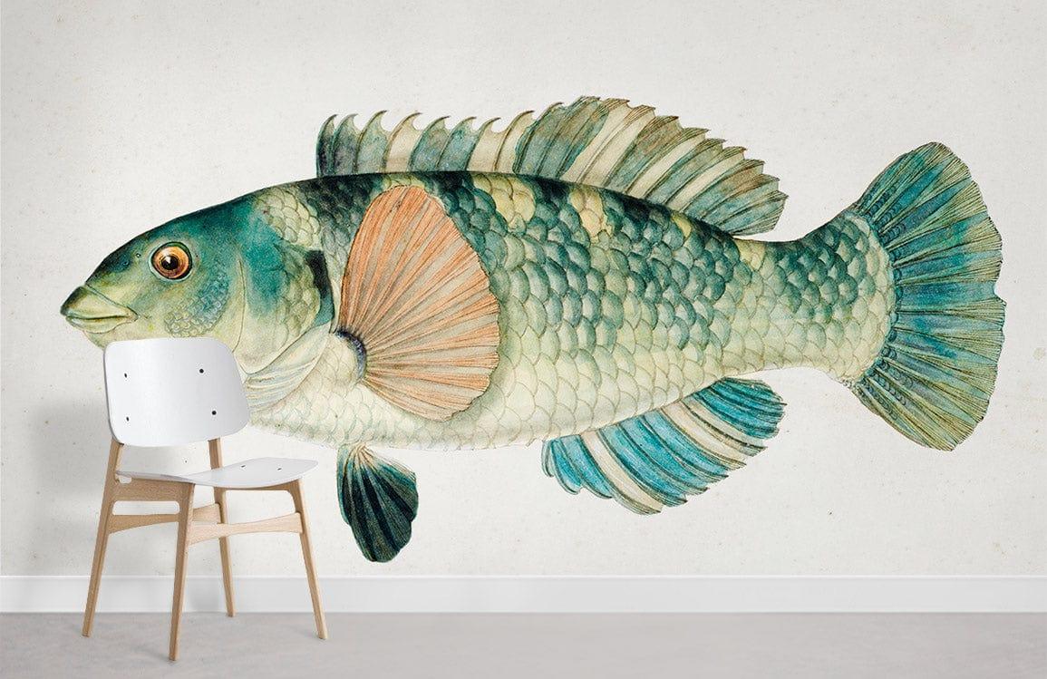 Wrasse Fish Wall Murals Ever Wallpaper Uk
