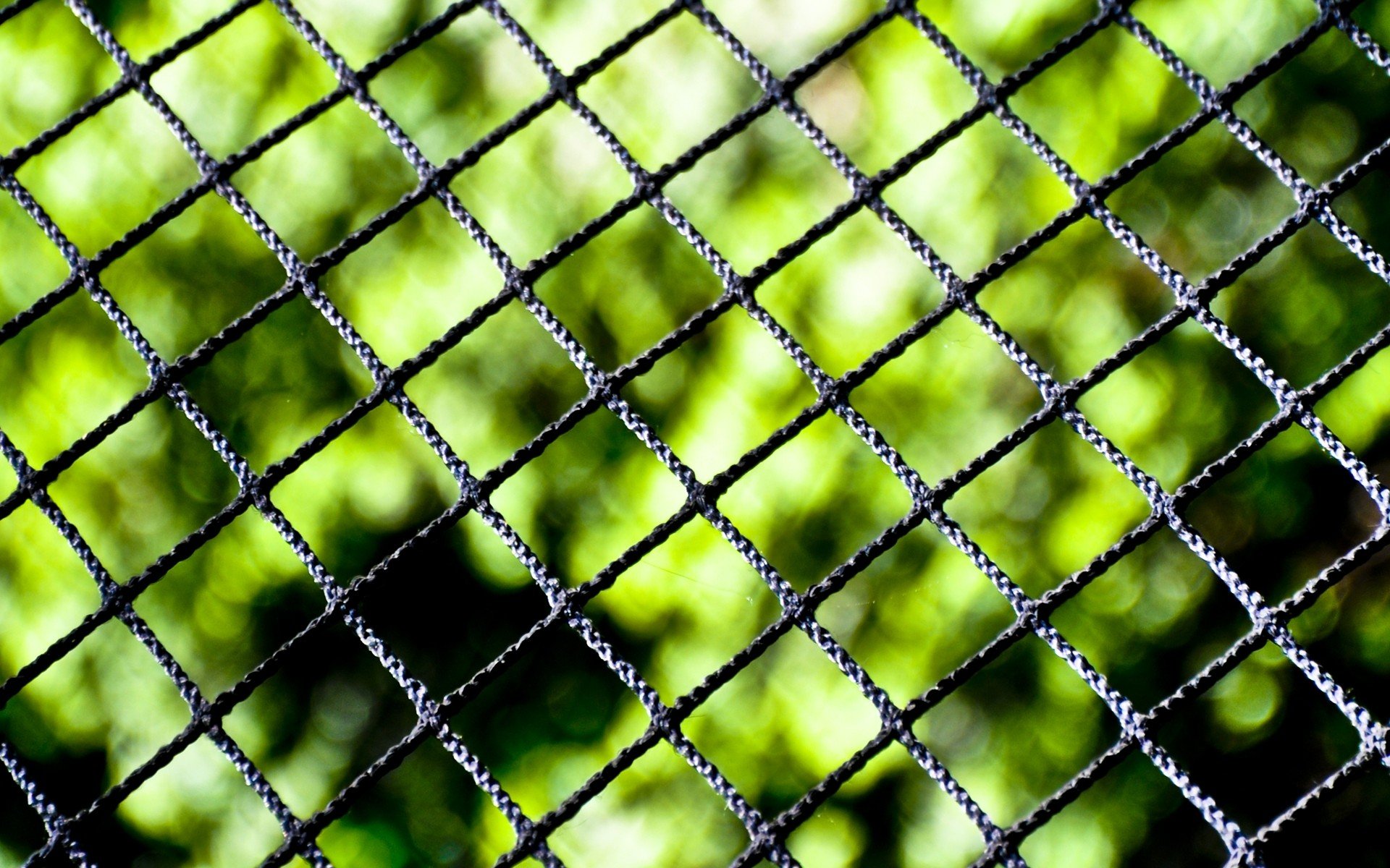 Close Up Nature Fences Chain Link Fence Blurred Background