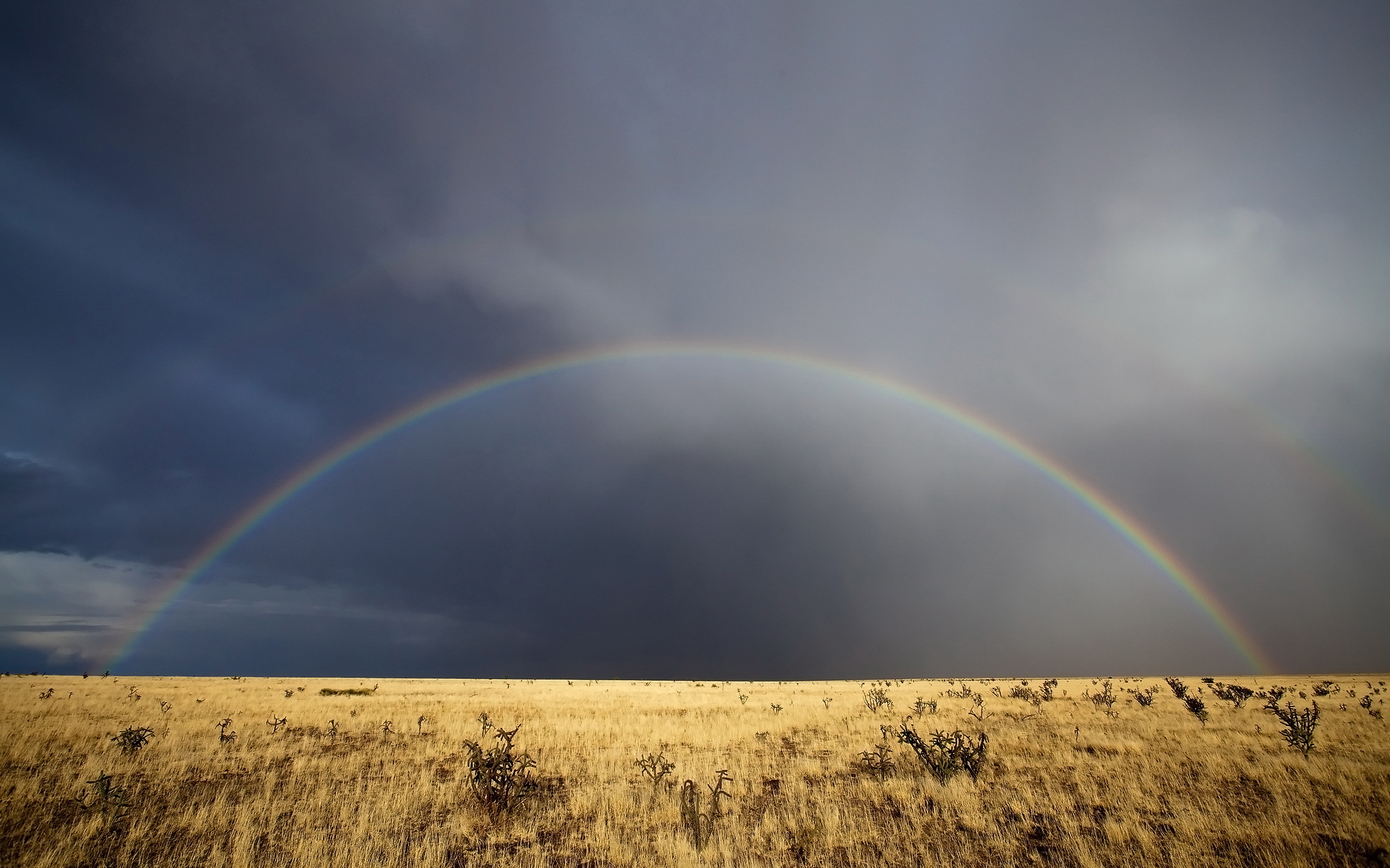 Rainbow In New Mexico Desktop Wallpaper On Latoro