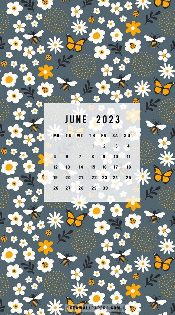 June Calendar Wallpaper Idea iPhone