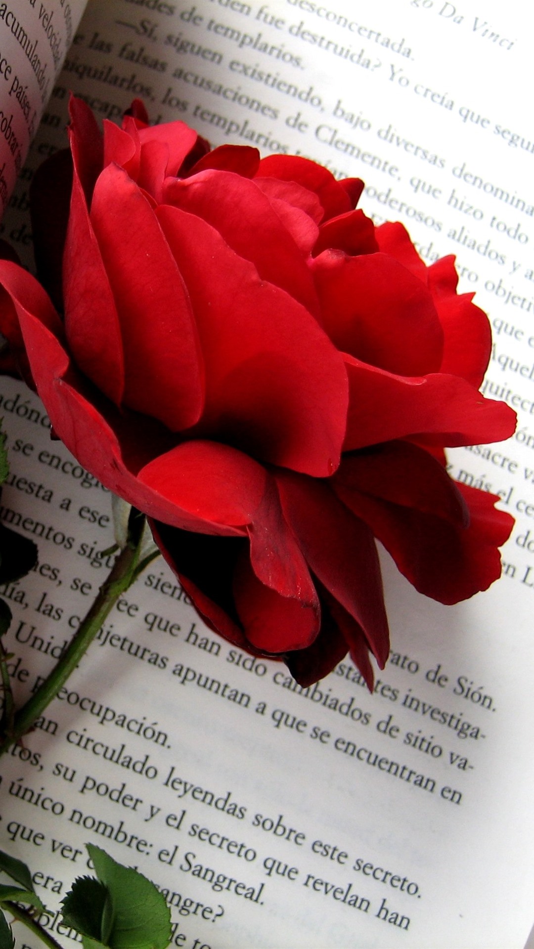 Red Rose Book iPhone 6s Plus Wallpaper