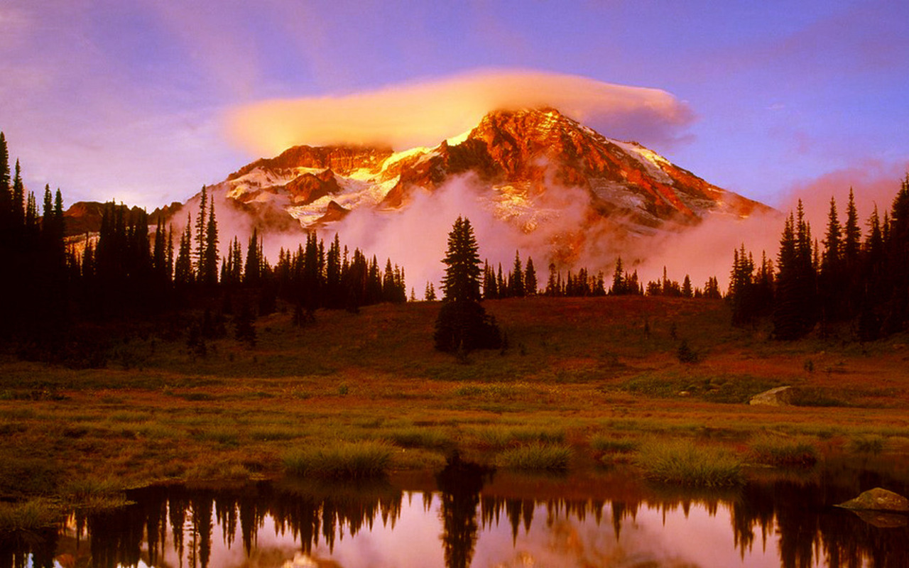 Mount Rainier Pictures National Park World Travel