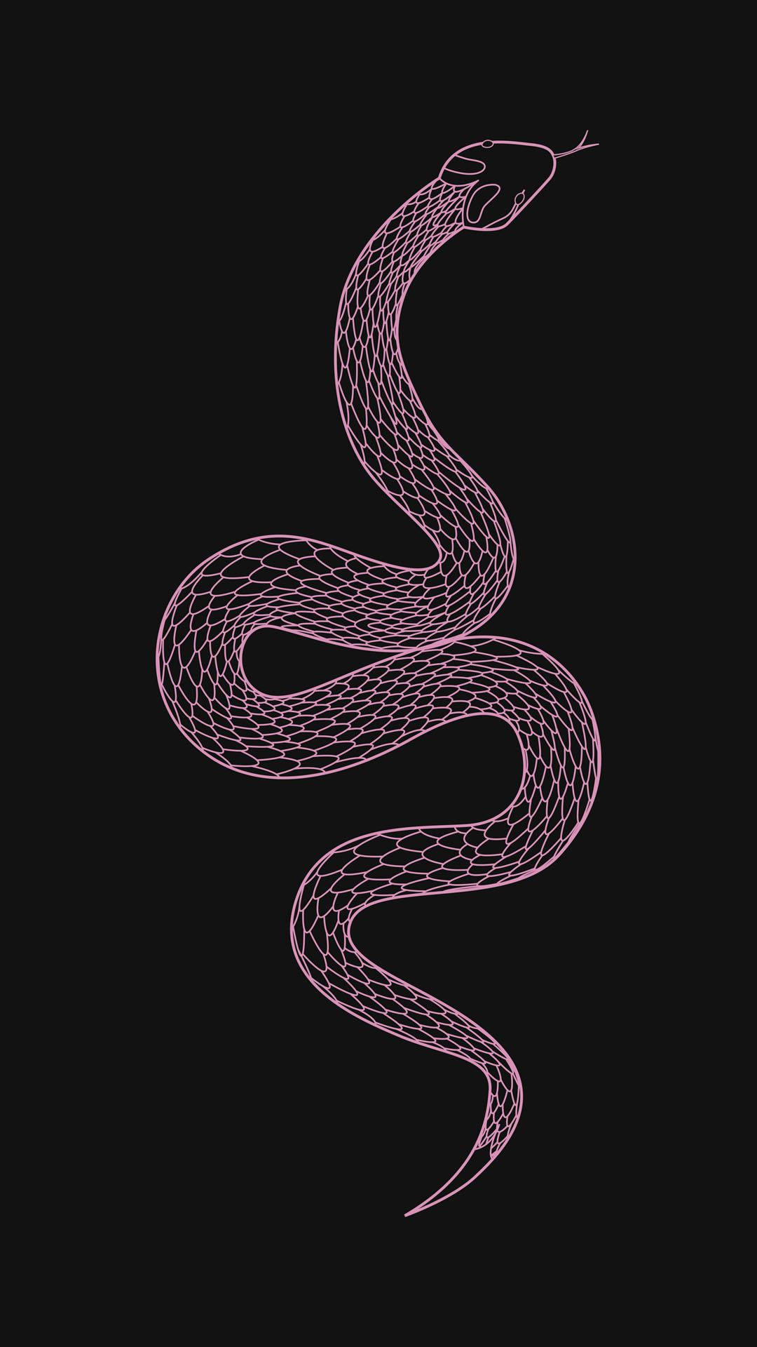 Free download Download Pink King Cobra Art Wallpaper [1080x1920] for your  Desktop, Mobile & Tablet | Explore 17+ Pink Snake Wallpapers | Snake  Wallpaper, Cool Snake Wallpapers, Solid Snake Wallpaper