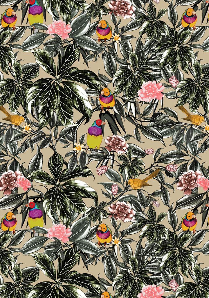Jungle Birds Wallpaper Patterns Prints For Fashi