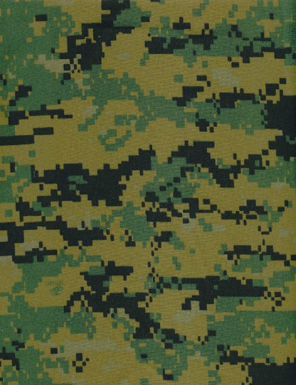 Marines Camo Pattern Marpat camo tigerstripe camo