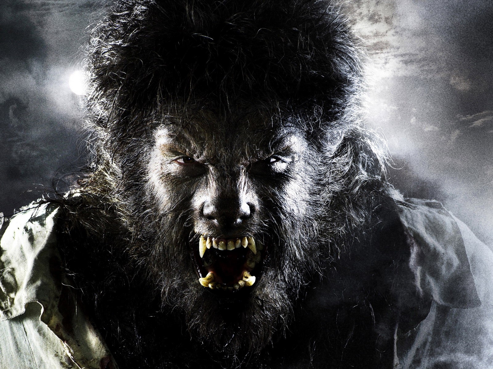 Scary Werewolf Wallpaper HD Background Desktop
