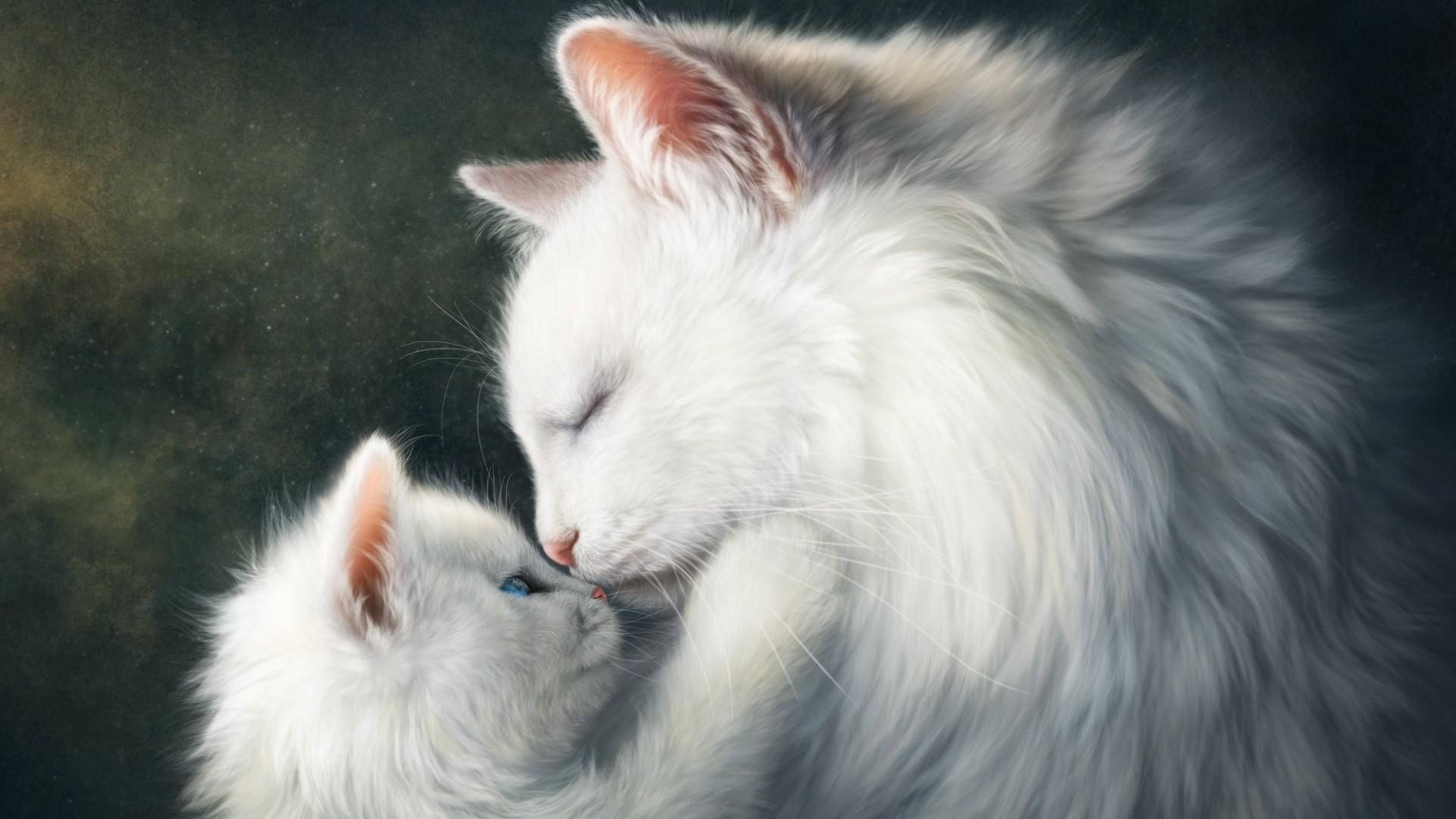 Cat Art Wallpaper