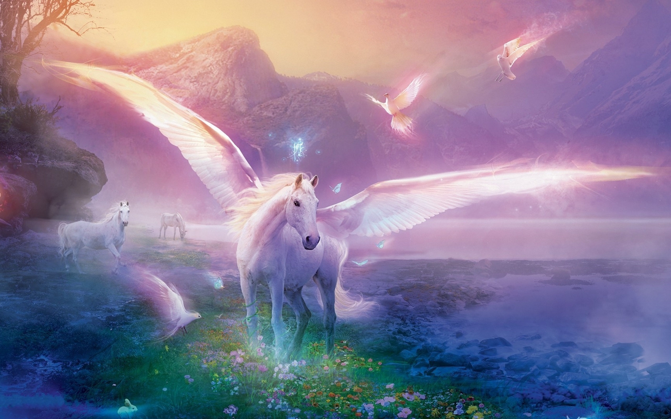 Unicorn HD Wallpaper Background