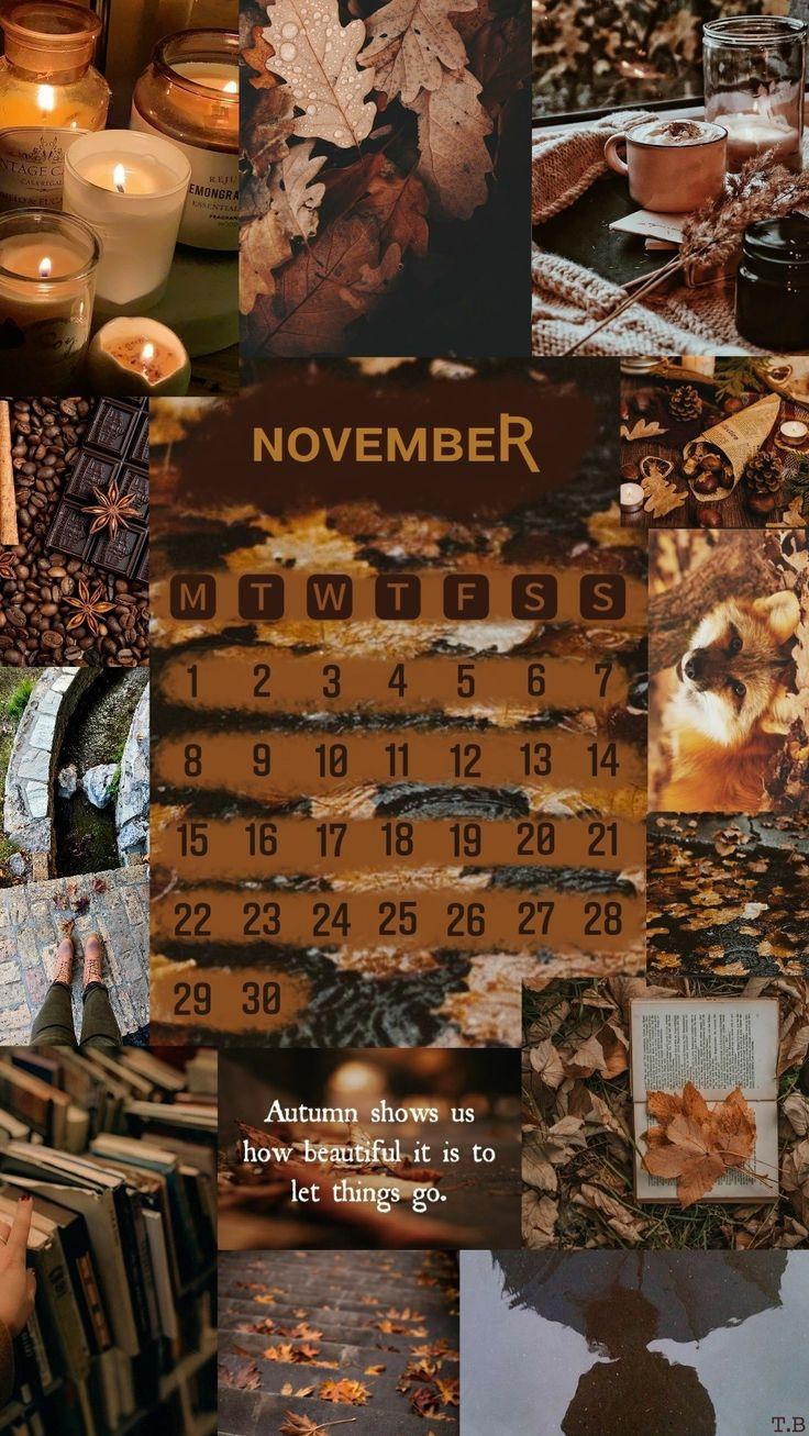 Free download November November wallpaper Cute fall wallpaper Fall ...