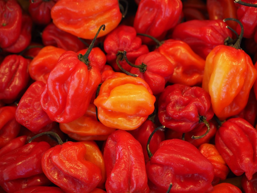 Pepper Chili Vegetables Ripe Stock Photos Image HD