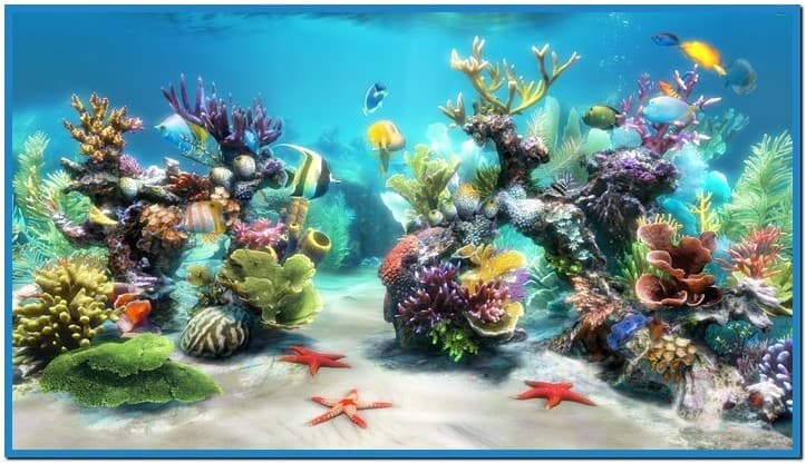 Living Marine Aquarium Screensaver Windows