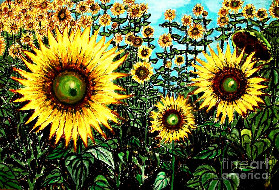 Van Gogh Field Of Sunflowers Goghs