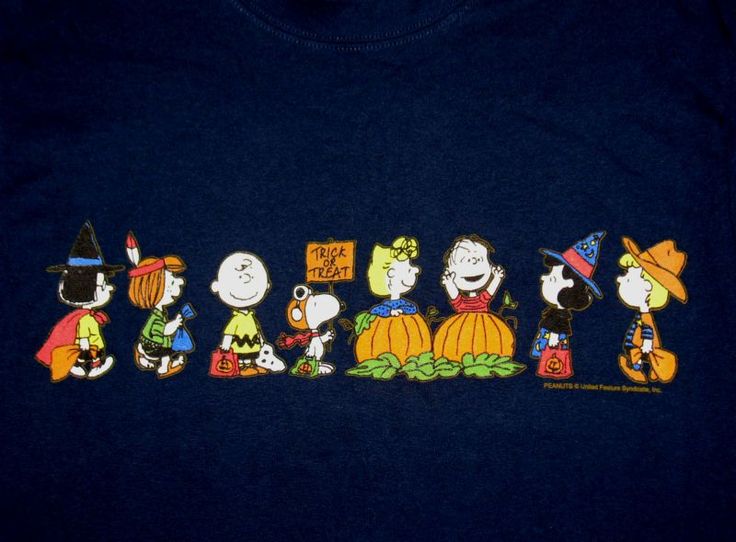 100 Charlie Brown Halloween Wallpapers  Wallpaperscom