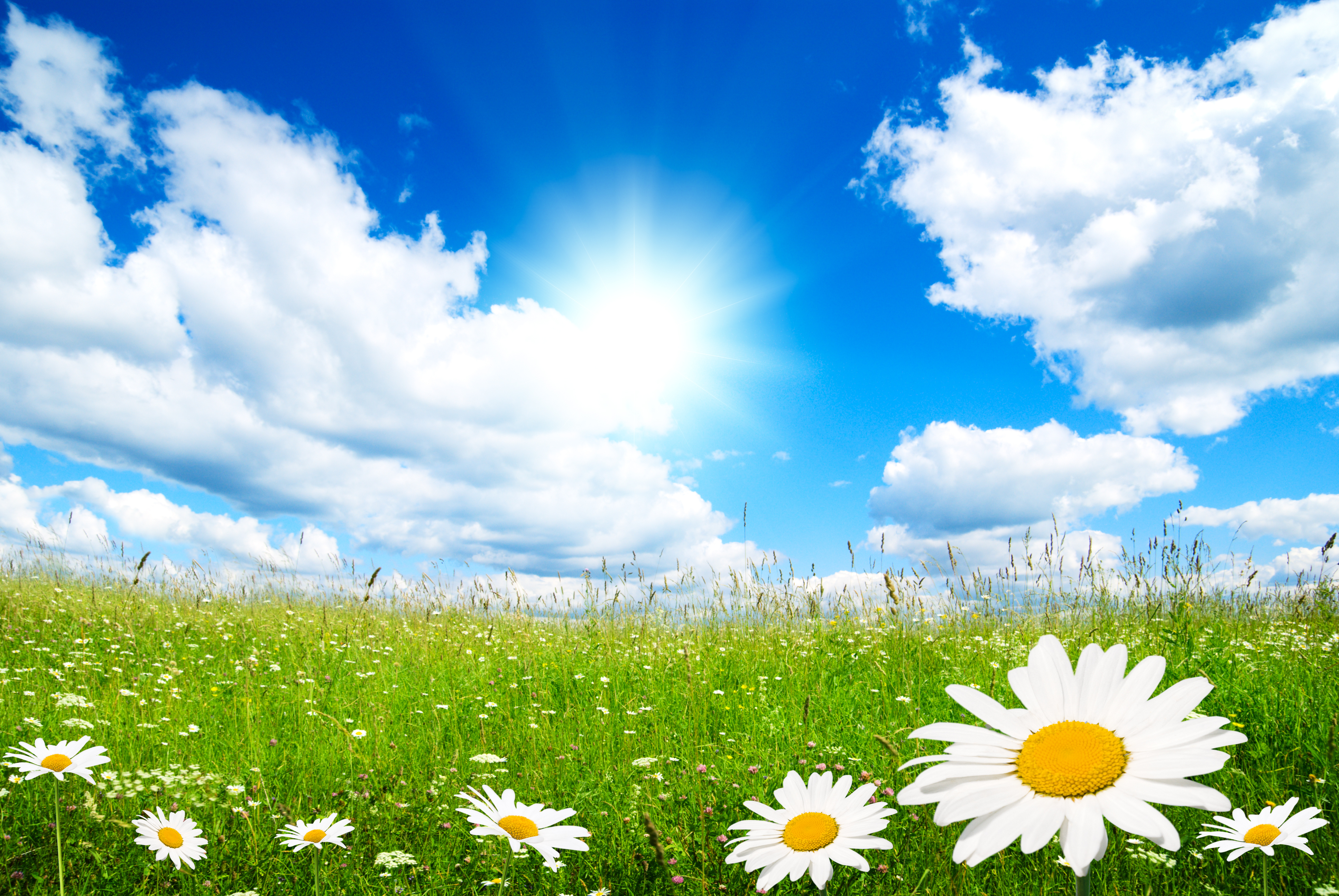 Springtime Wallpaper Images WallpaperSafari
