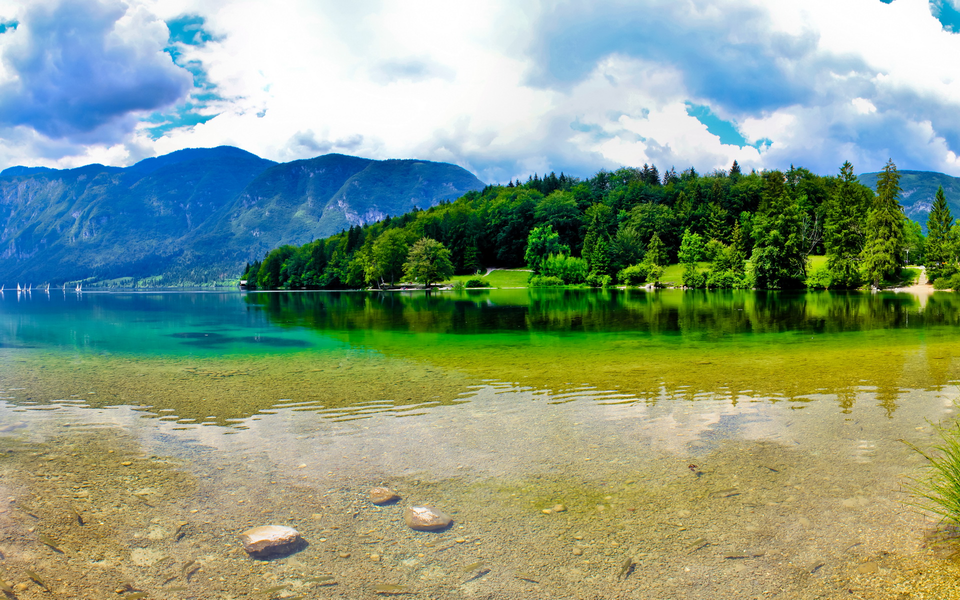 Nature Lake Landscape Reflection Fog UltraHD 4k