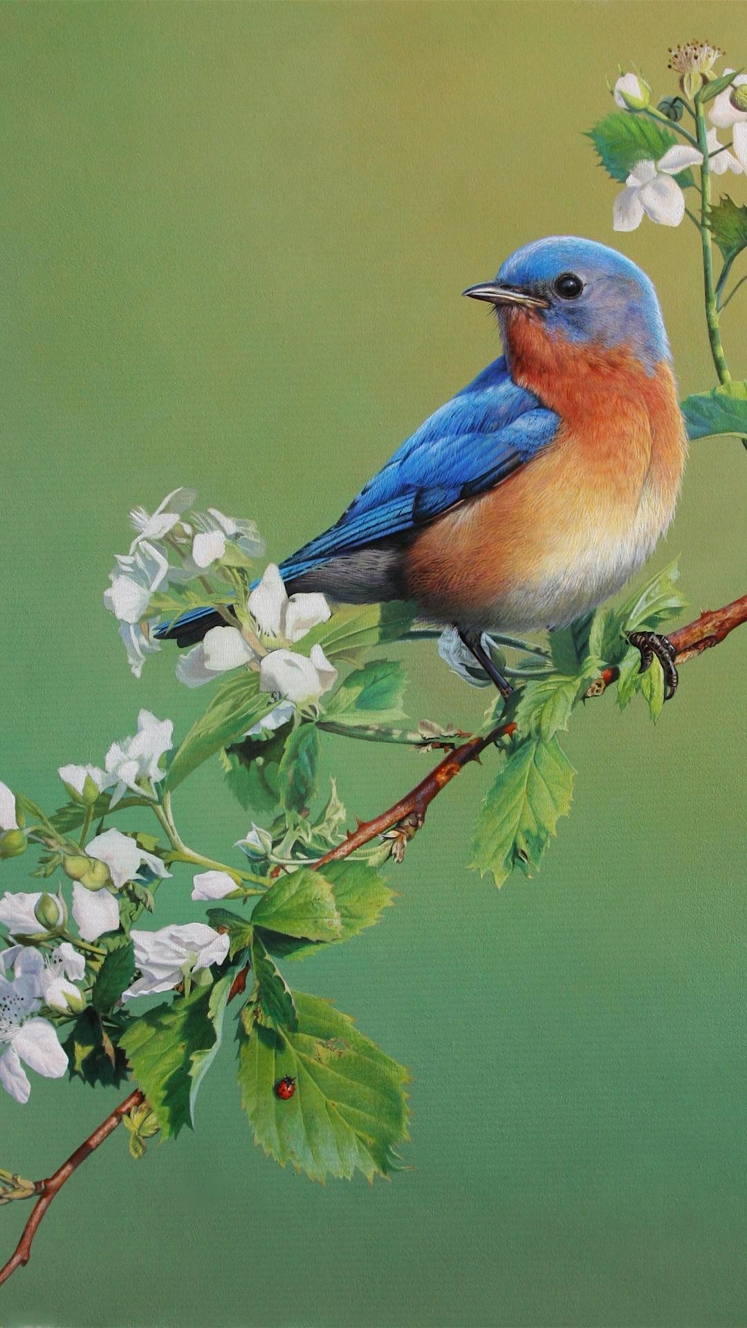 Blue Bird Wallpaper 68 images 1080x1920