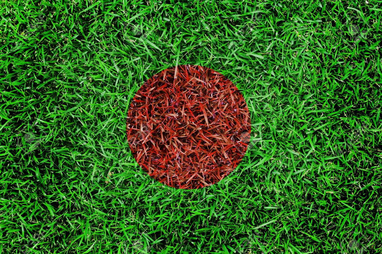 Bangladesh Flag Color Grass Texture Background Stock Photo