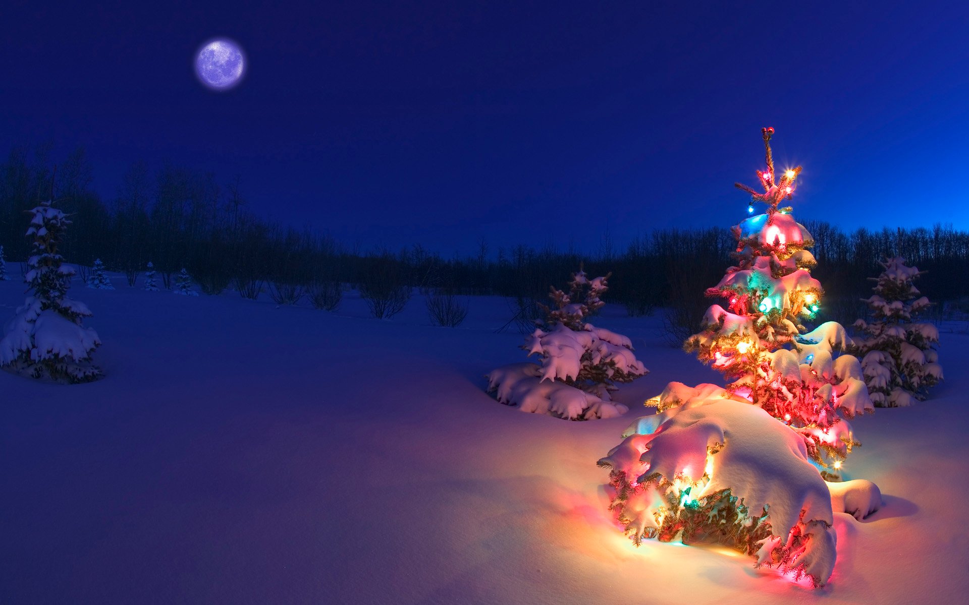 Wallpaper Of A Christmas Tree In Snowy Night Free Wallpaper World