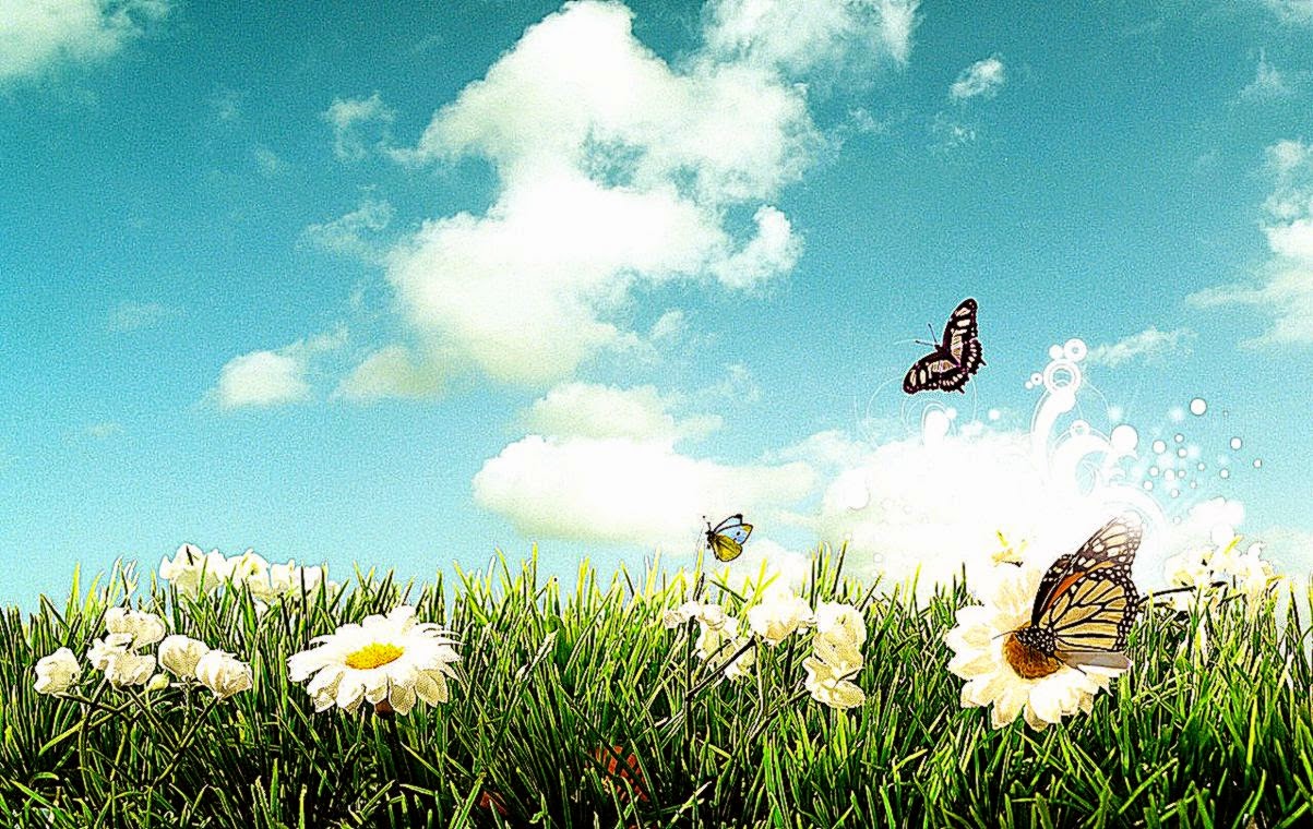  cool spring wallpapers filename cool spring wallpapers 3d wallpapers