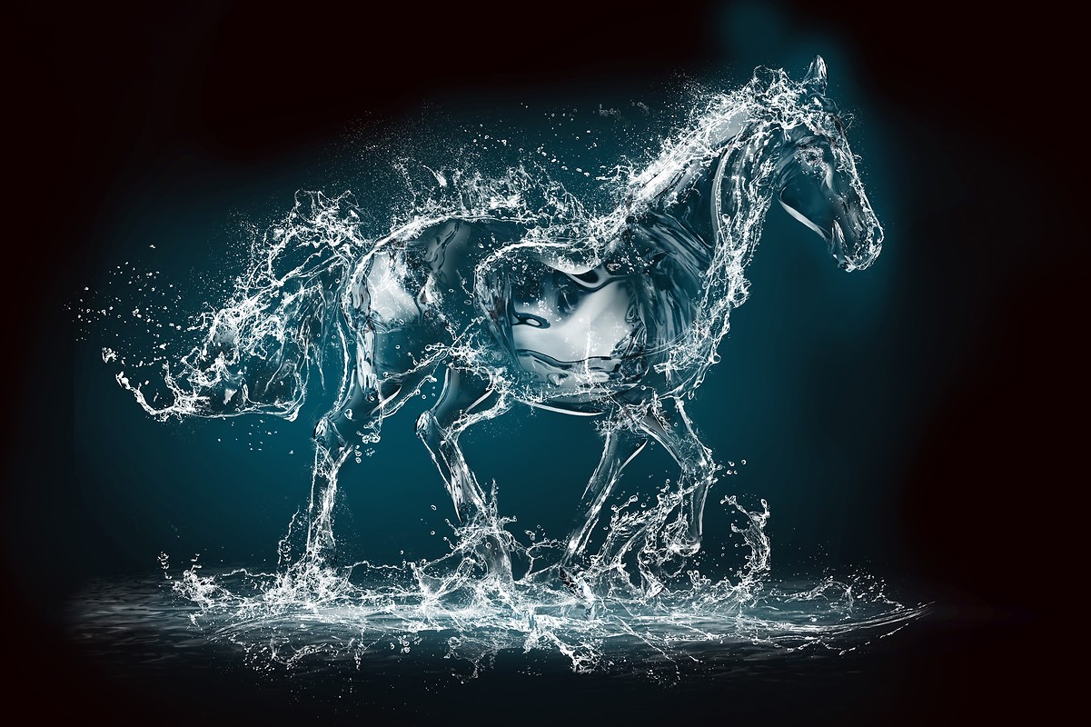 Horse UHD Wallpaper Water