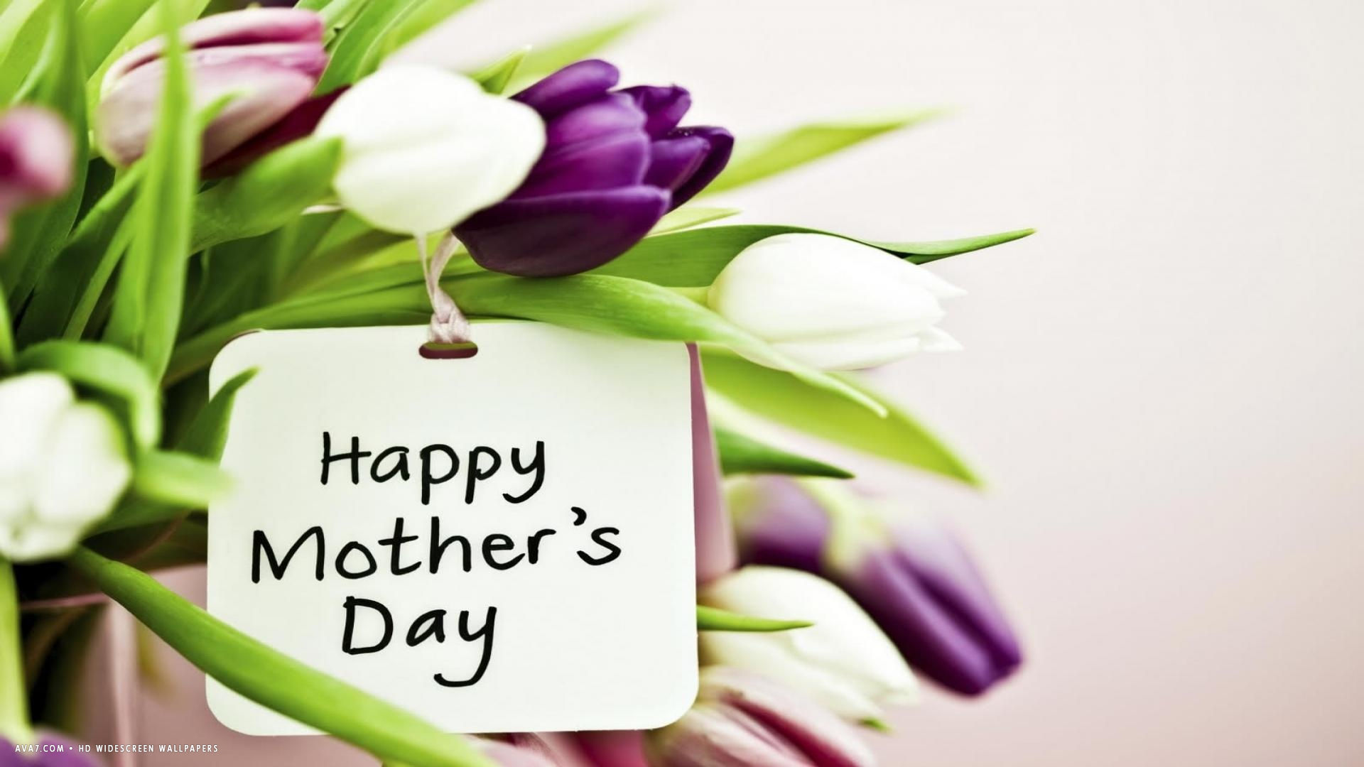 Happy Mothers Day Purple Pink White Tulips Flowers Holiday HD