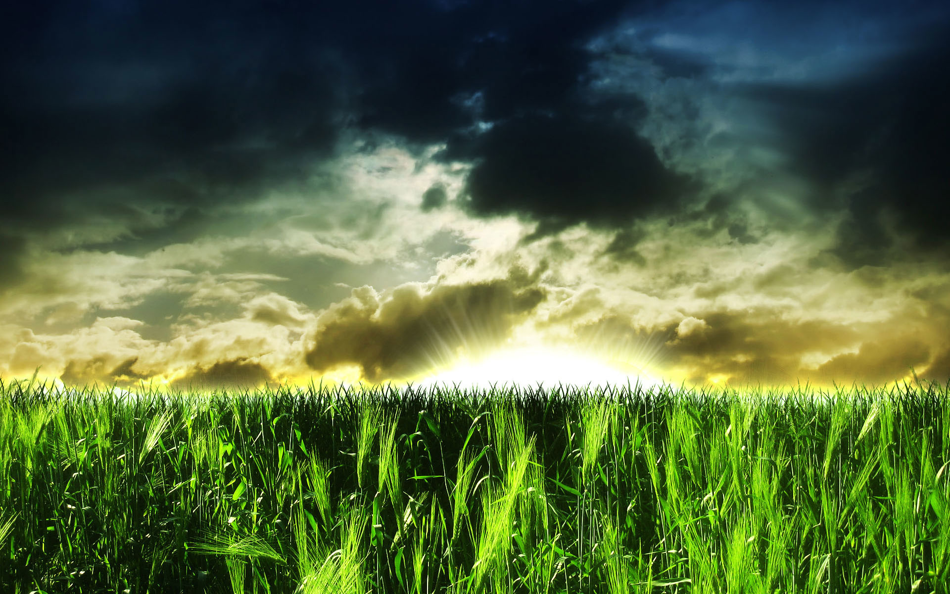 Green Grass Field Under Stormy Sky HD Wallpaper
