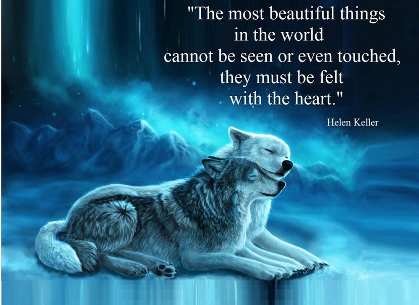 Awesome Wolf Quotes