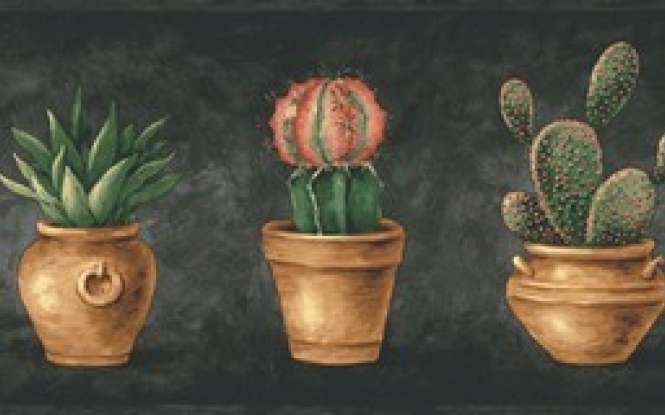 Bc1581701 Cactus Wallpaper Border Design By Color Black